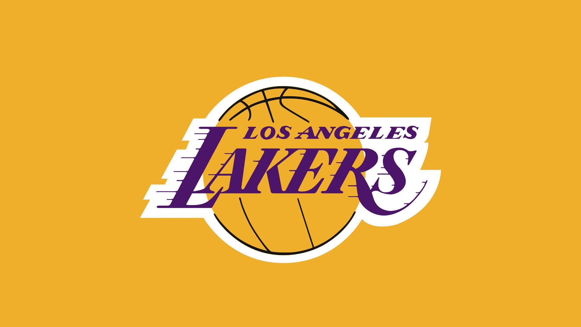 国家排球队公布新援加入以及训练计划，国家排球队队名