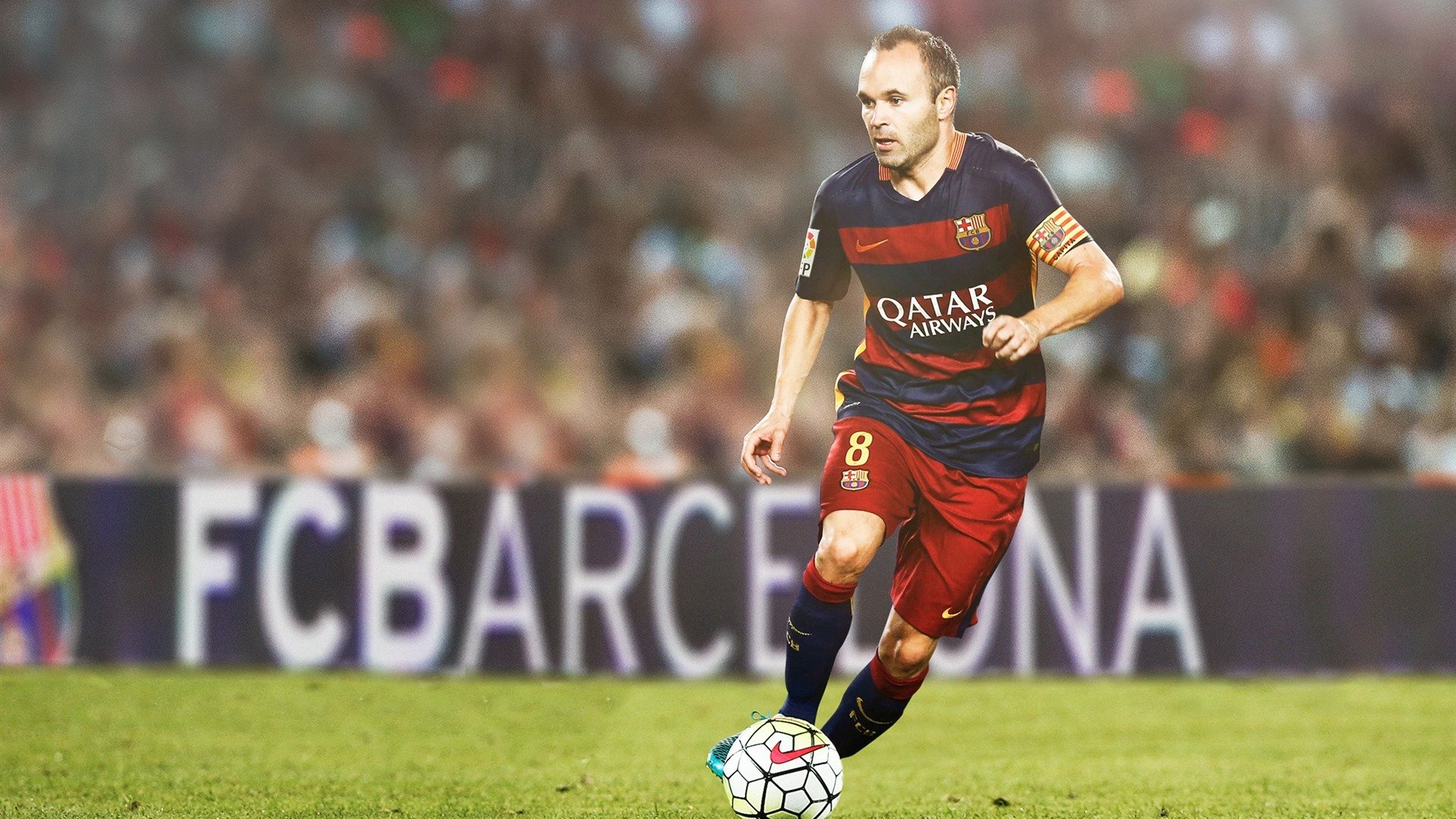 澳大利亚橄榄球迎来新黄金时代，年轻力量崭露头角，澳大利亚橄榄球介绍